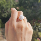 Bague la Rose blanche